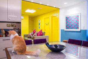 fotografia_arquitetura_decoracao_cores