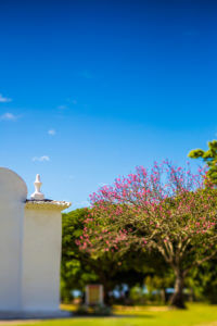 fotografia_paissagem_viagem_bahia_3