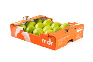 fotografia_produtos_frutas_caixa_exportacao